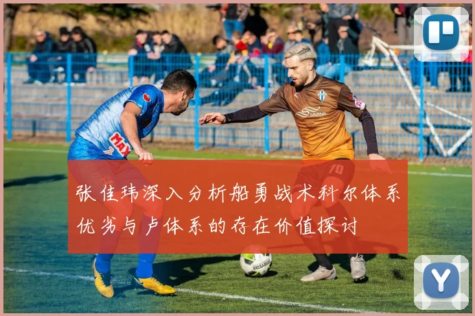 张佳玮深入分析船勇战术科尔体系优劣与卢体系的存在价值探讨