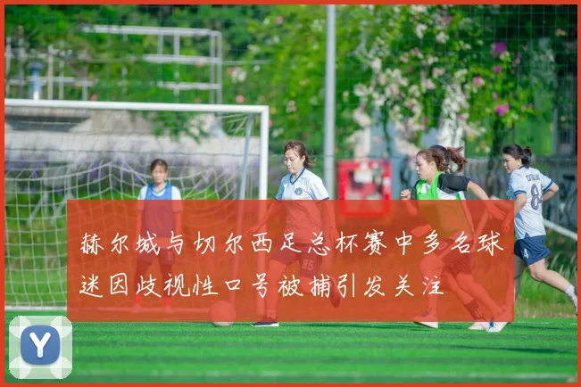 赫尔城与切尔西足总杯赛中多名球迷因歧视性口号被捕引发关注