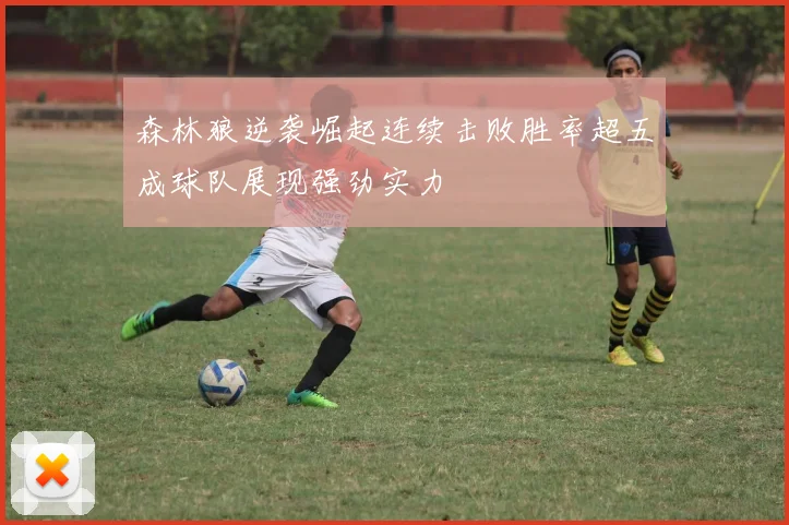 森林狼逆袭崛起连续击败胜率超五成球队展现强劲实力