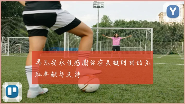再见安永佳感谢你在关键时刻的无私奉献与支持