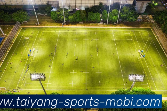 太阳城平台生态图